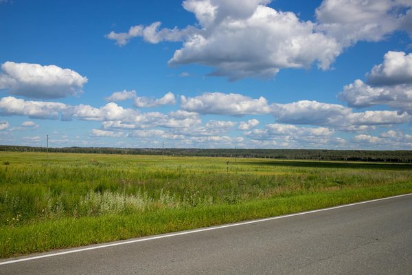 Sélection de services de bus avec chauffeur pour un voyage serein